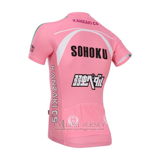2014 Cycling Jersey Fox Cyclingbox Fuchsia Short Sleeve and Bib Short