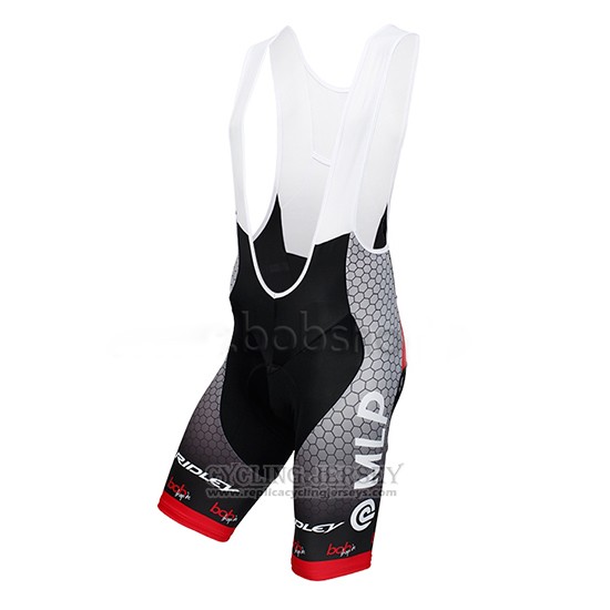 2013 Cycling Jersey MLP Team Bergstrasse Gray Short Sleeve and Bib Short
