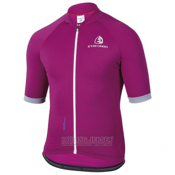 2017 Cycling Jersey Etxeondo Entzun Purple Short Sleeve and Bib Short